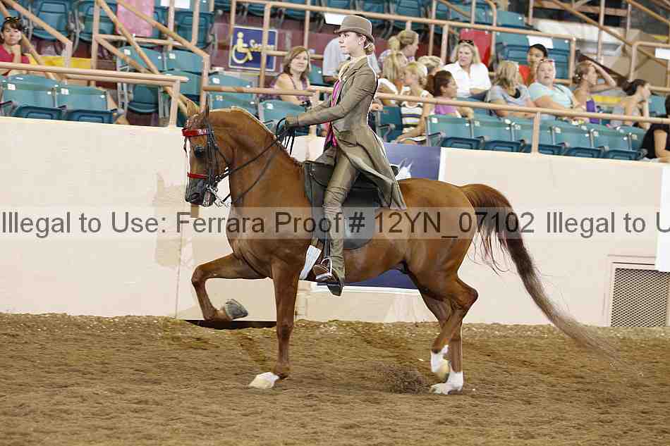 Proof Number 12yn_07102