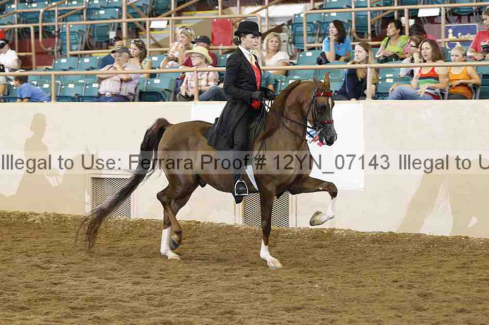 Proof Number 12yn_07143