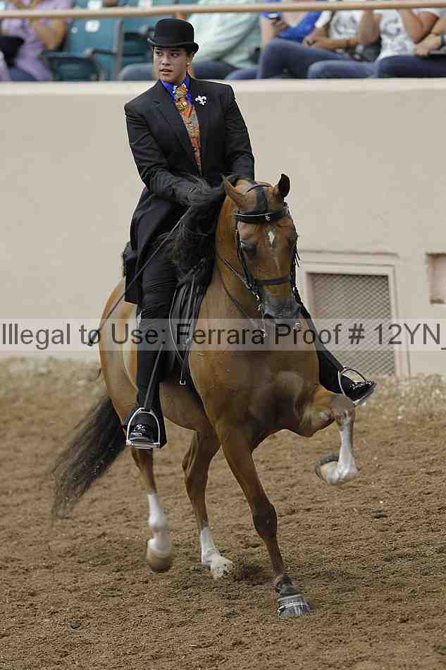 Proof Number 12yn_07162