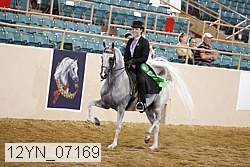 12yn_07169 thumbnail