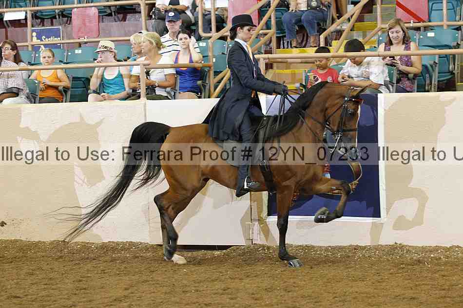 Proof Number 12yn_07233