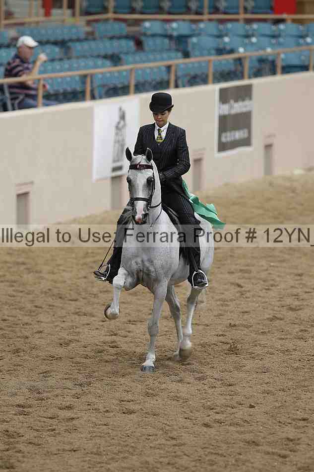 Proof Number 12yn_07266