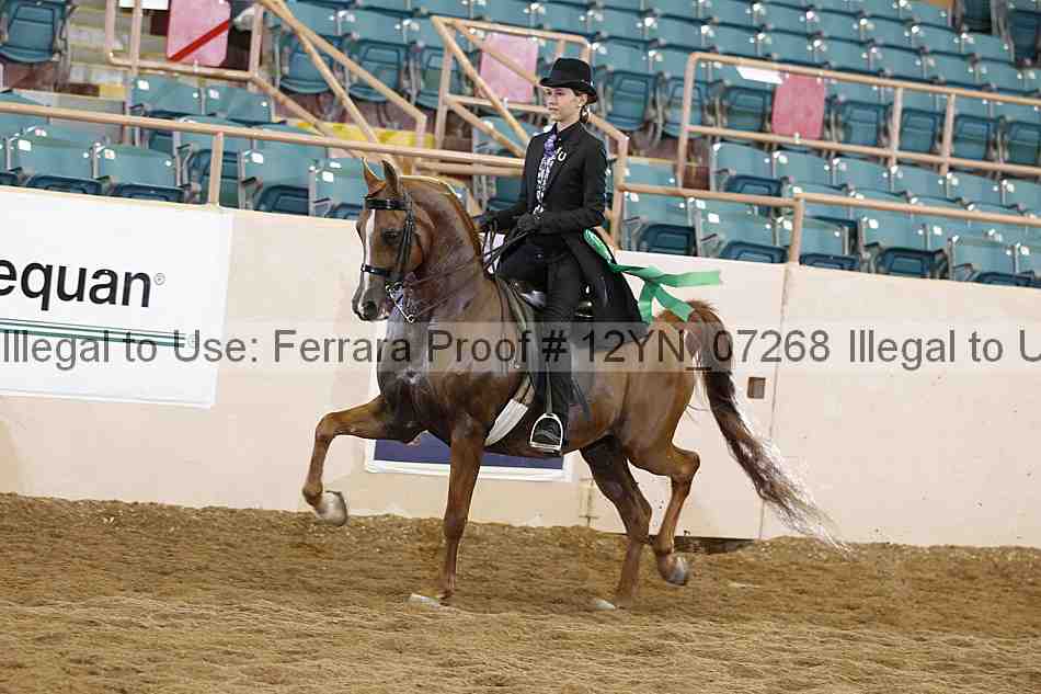 Proof Number 12yn_07268