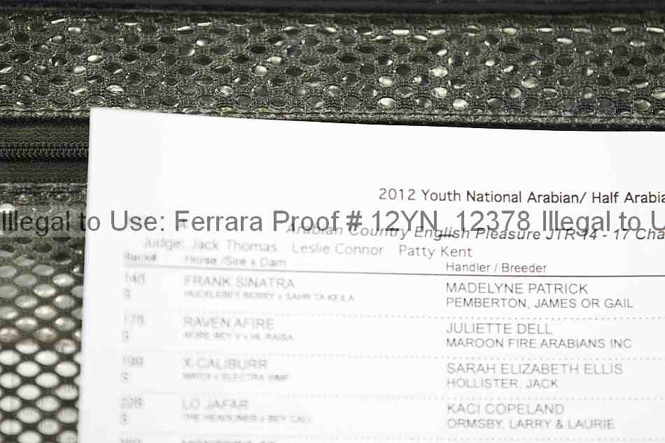 Proof Number 12yn_12378