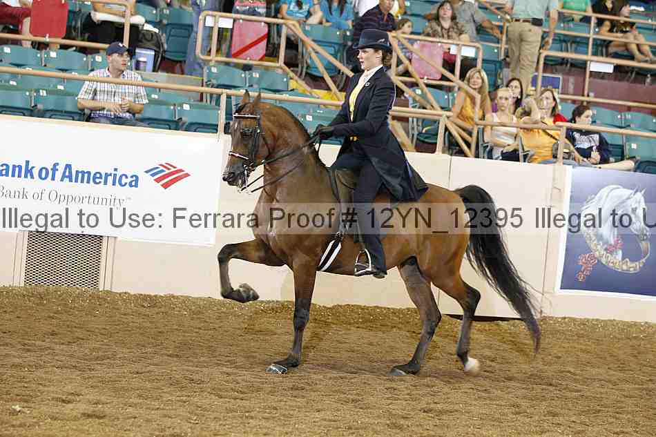 Proof Number 12yn_12395