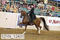 12yn_12401 thumbnail