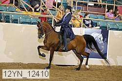 12yn_12410 thumbnail