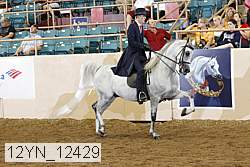12yn_12429 thumbnail