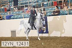 12yn_12431 thumbnail