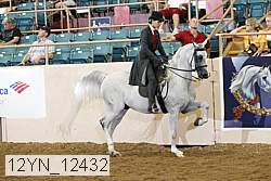 12yn_12432 thumbnail