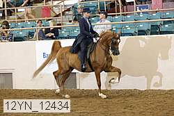 12yn_12434 thumbnail
