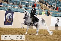 12yn_12435 thumbnail