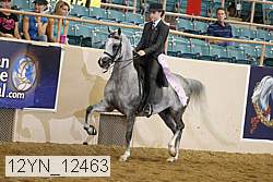 12yn_12463 thumbnail