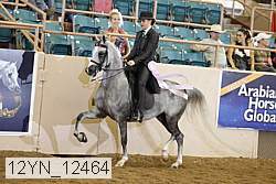 12yn_12464 thumbnail
