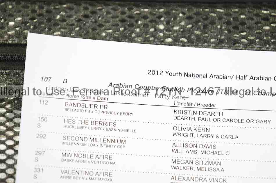Proof Number 12yn_12467