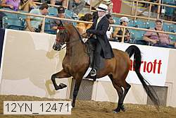 12yn_12471 thumbnail