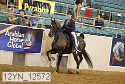 12yn_12572 thumbnail