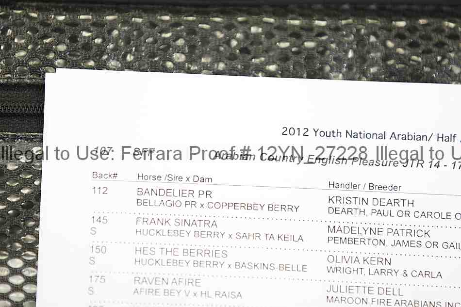 Proof Number 12yn_27228