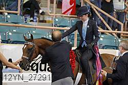 12yn_27291 thumbnail