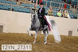 12yn_27311 thumbnail