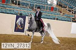 12yn_27312 thumbnail