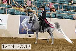 12yn_27313 thumbnail