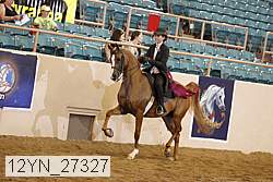12yn_27327 thumbnail