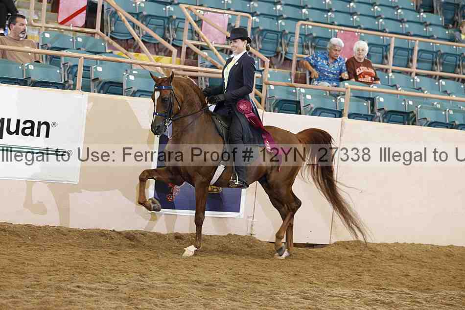 Proof Number 12yn_27338