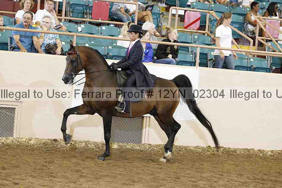 Proof Number 12yn_02304