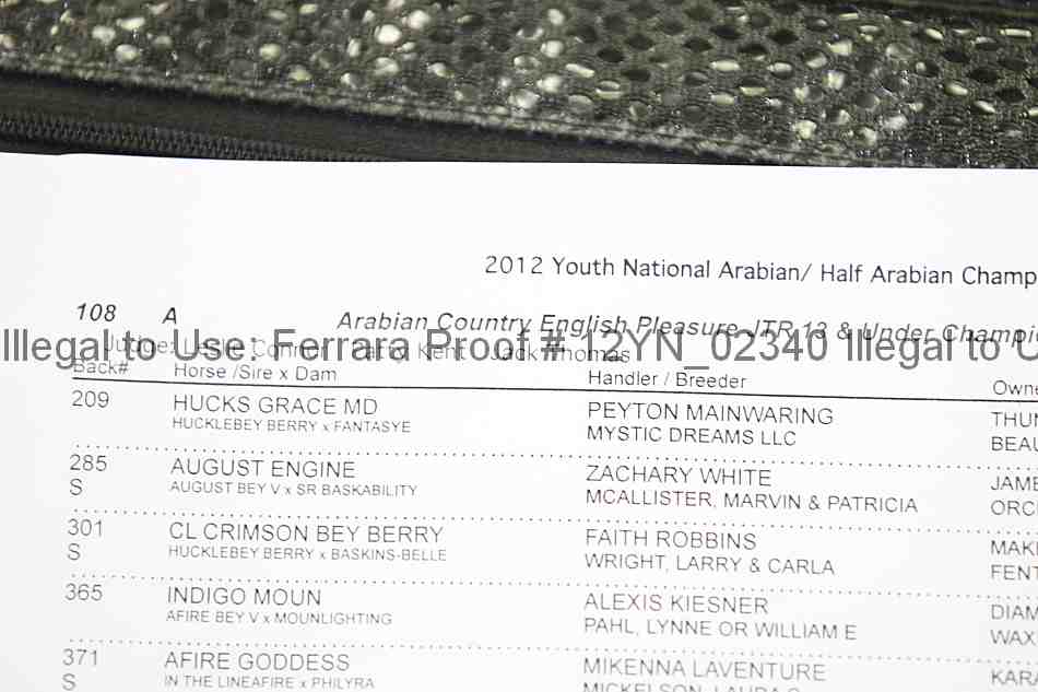 Proof Number 12yn_02340