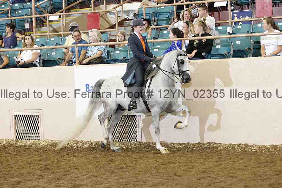 Proof Number 12yn_02355