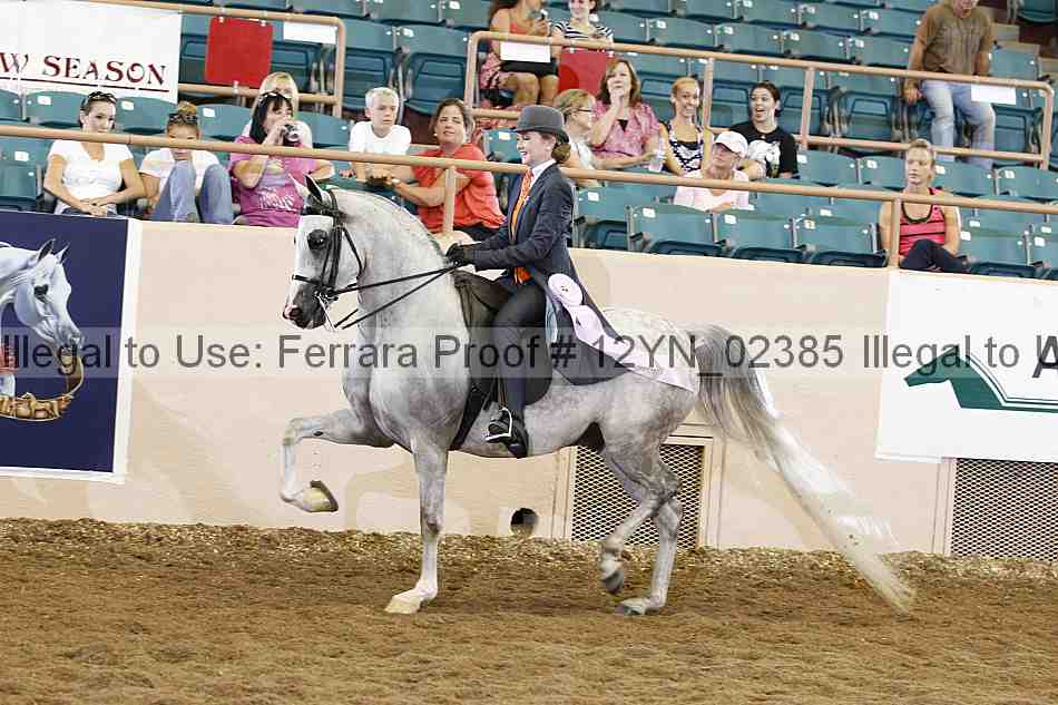 Proof Number 12yn_02385