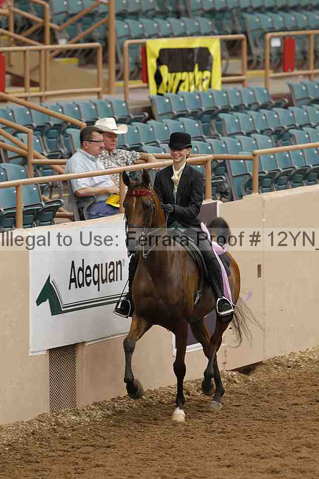 Proof Number 12yn_02395