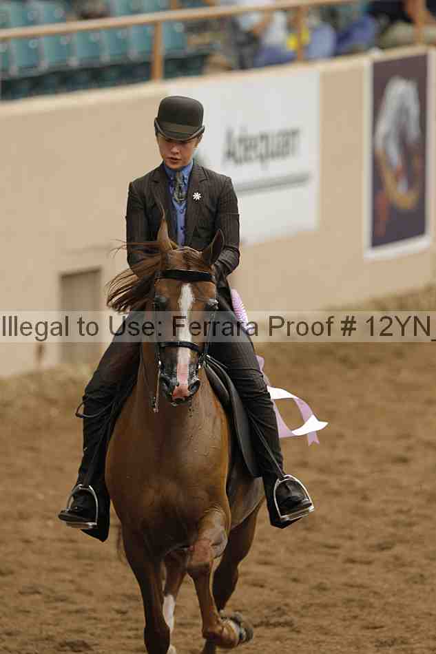 Proof Number 12yn_02473