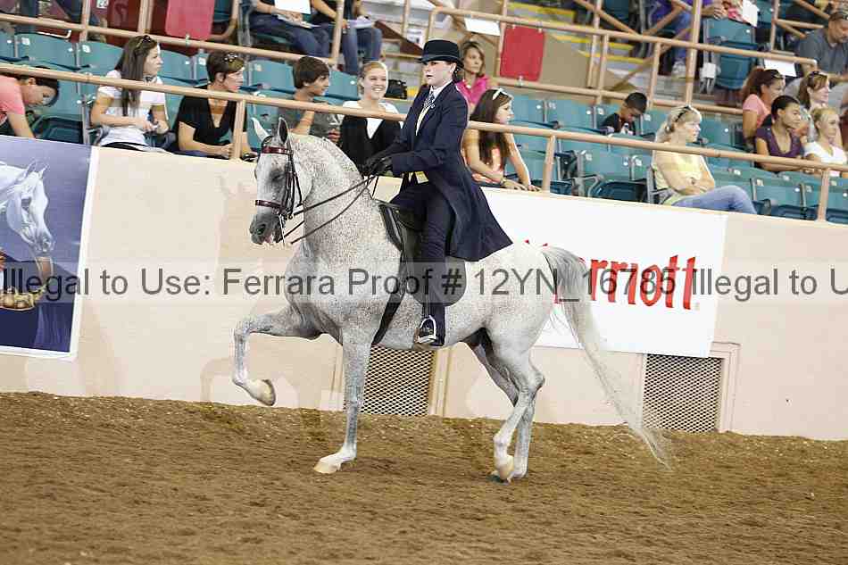 Proof Number 12yn_16785
