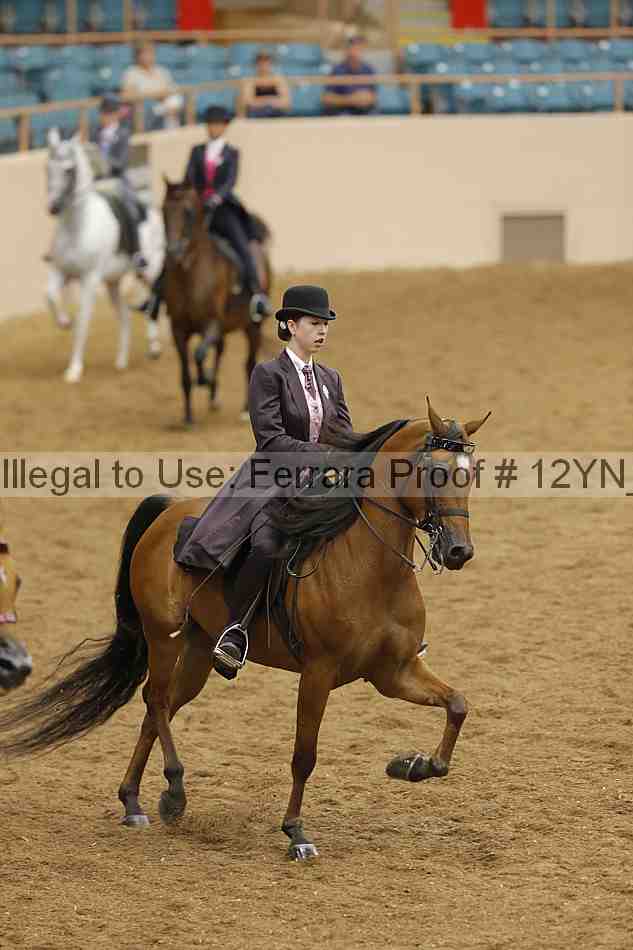 Proof Number 12yn_16796