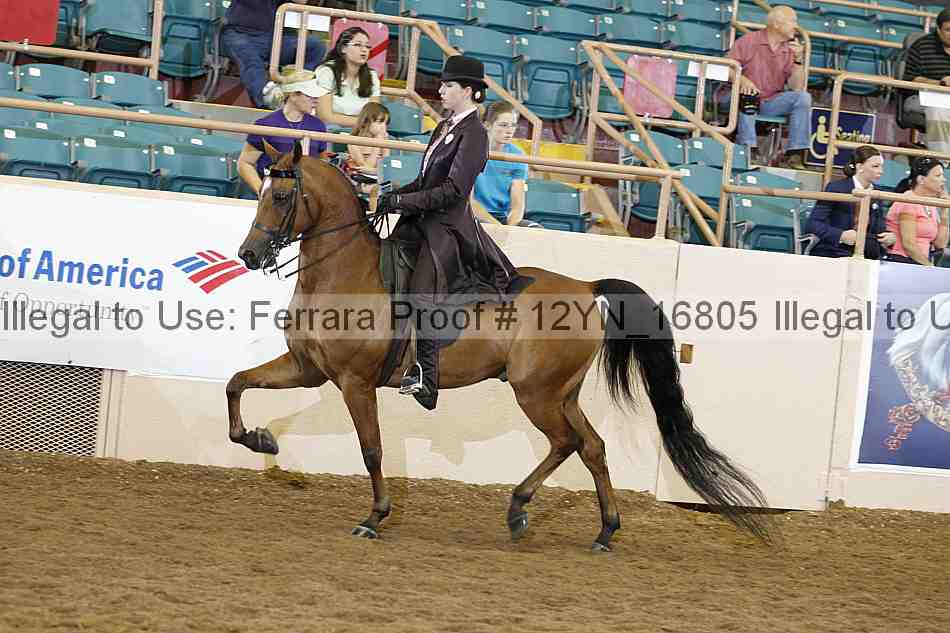 Proof Number 12yn_16805