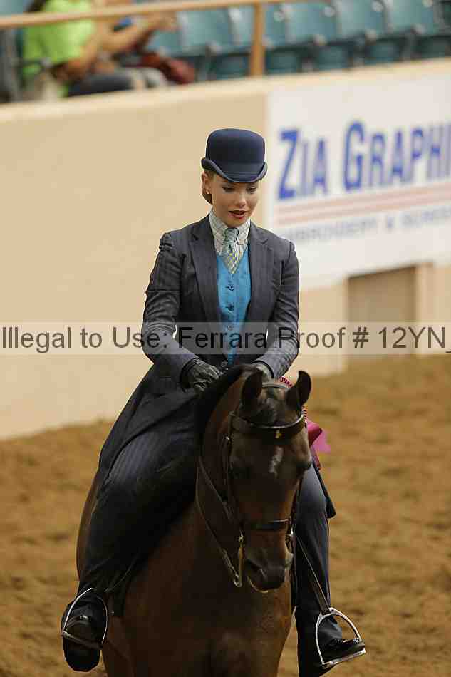 Proof Number 12yn_16878