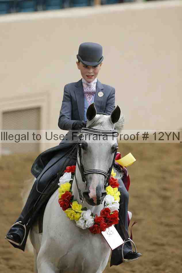 Proof Number 12yn_16909