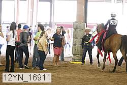 12yn_16911 thumbnail