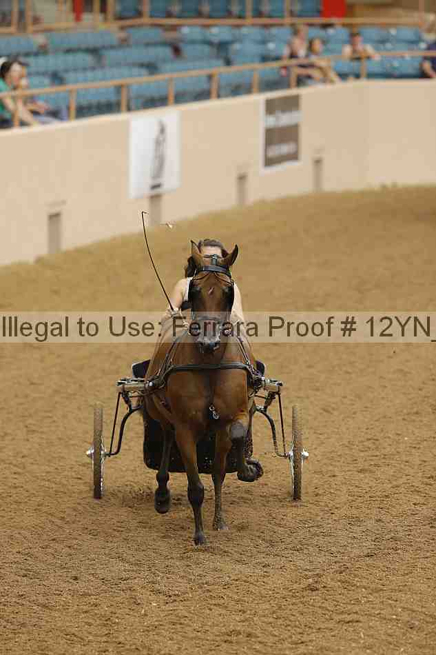 Proof Number 12yn_17384