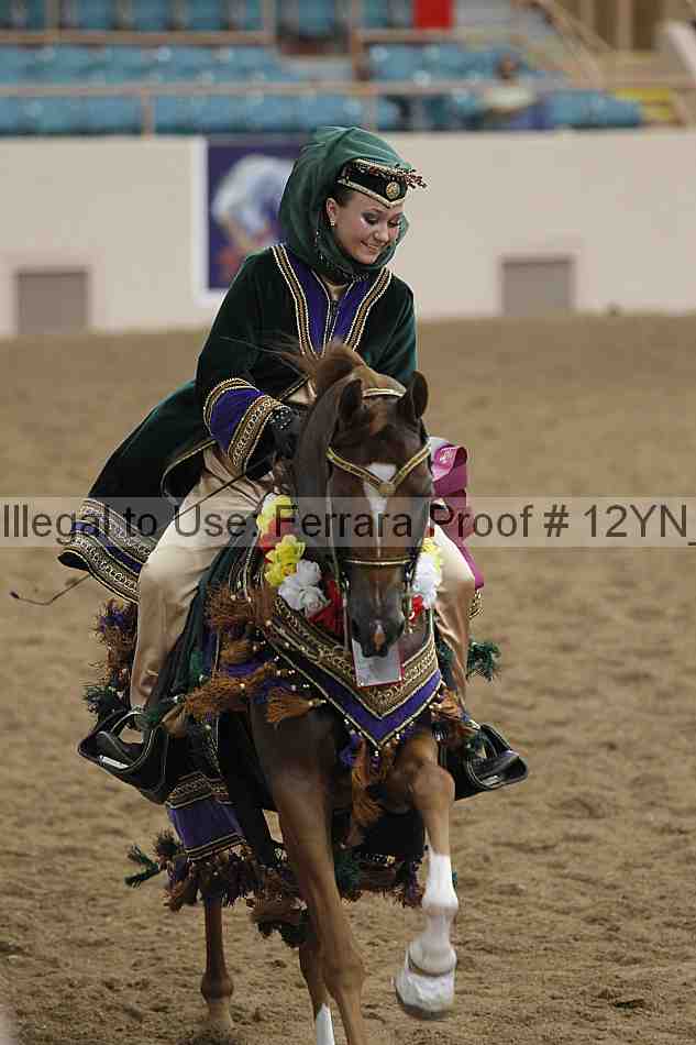 Proof Number 12yn_28709