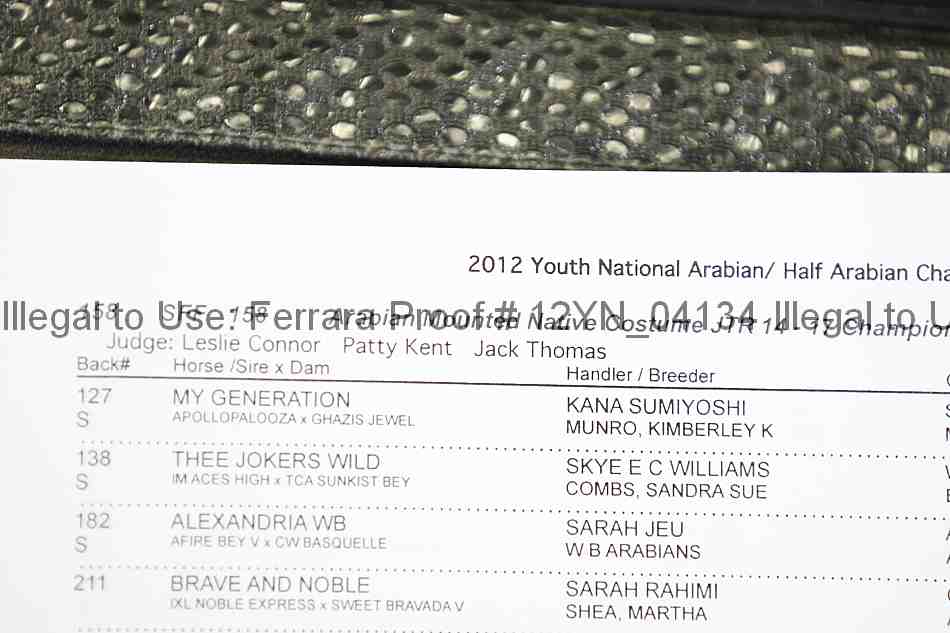 Proof Number 12yn_04134