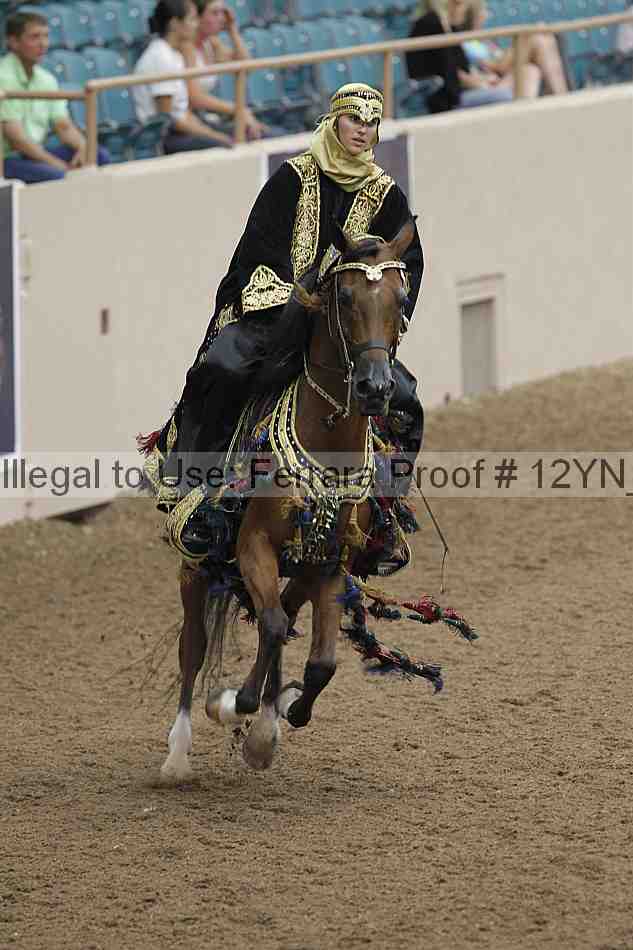 Proof Number 12yn_04158