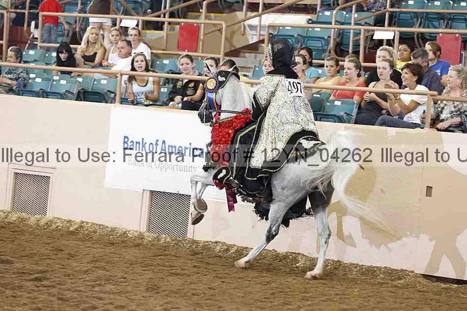 Proof Number 12yn_04262