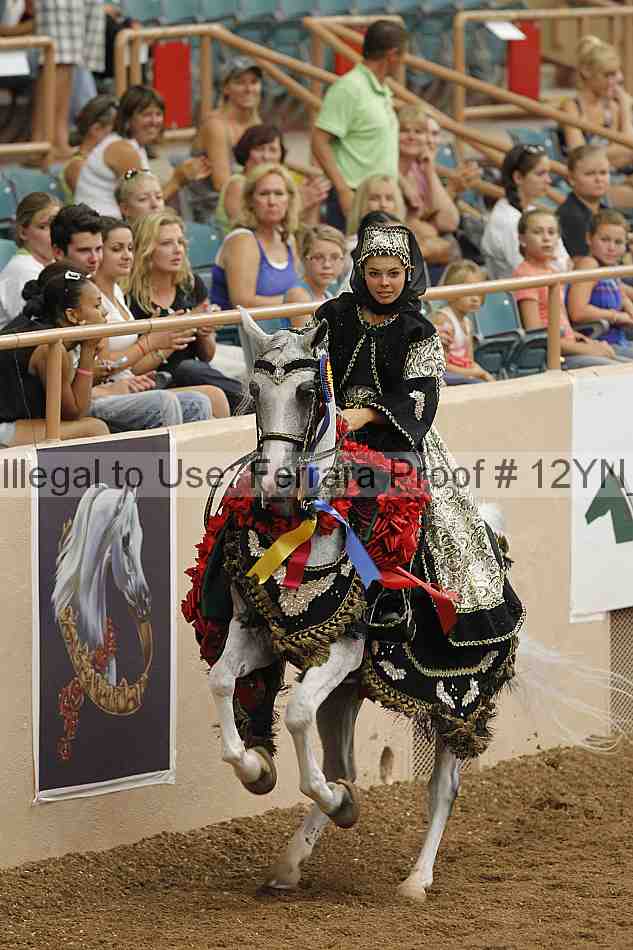 Proof Number 12yn_04279