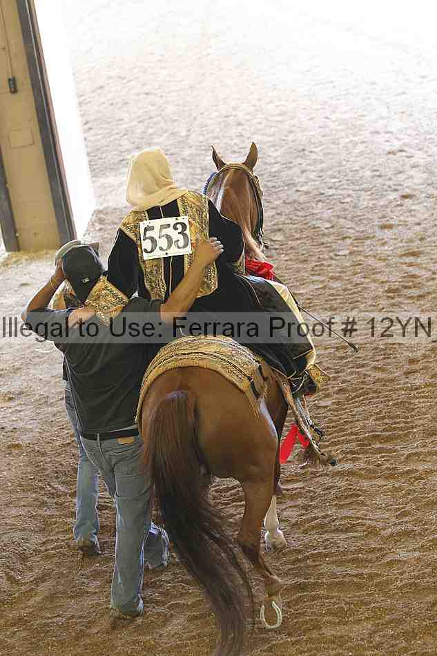 Proof Number 12yn_21808