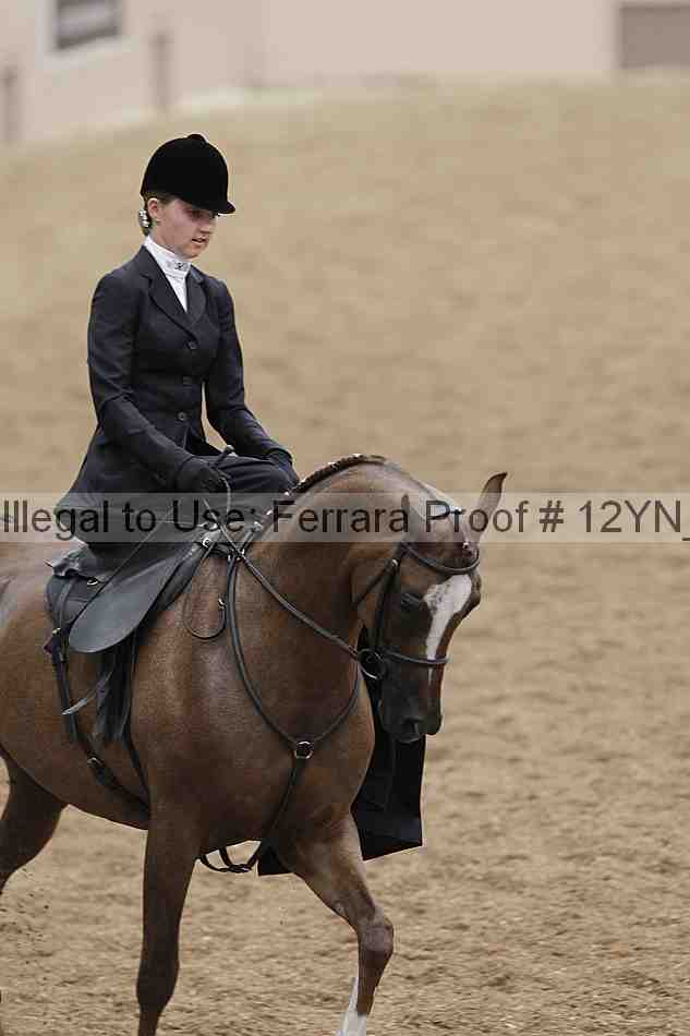 Proof Number 12yn_01173