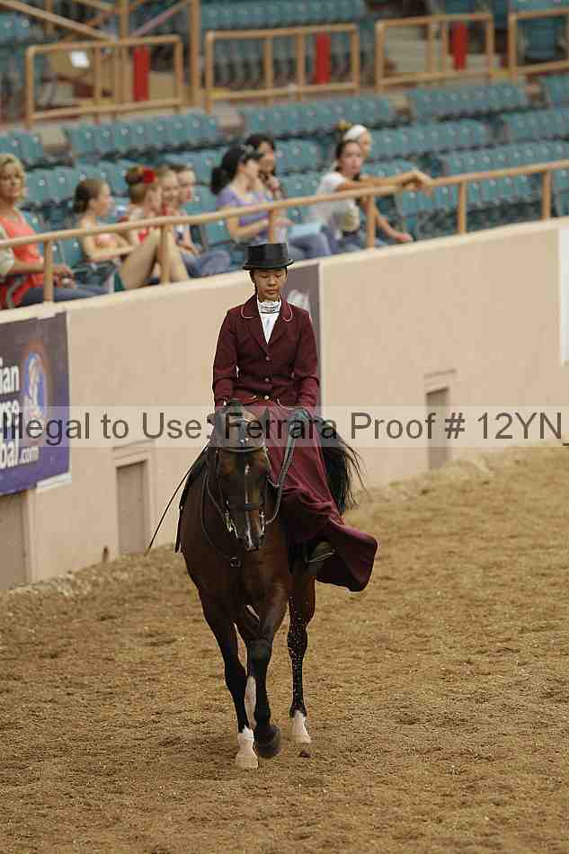 Proof Number 12yn_01180