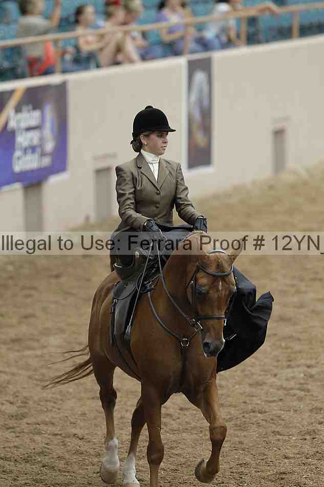Proof Number 12yn_01188